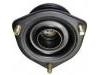 Soporte de amortiguador Strut Mount:54320-35F00