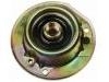 Strut Mount:17985585