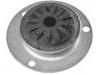 Soporte de amortiguador Strut Mount:605 078 90